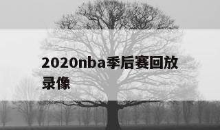 2020nba季后赛回放录像 2020nba季后赛攻防贡献图